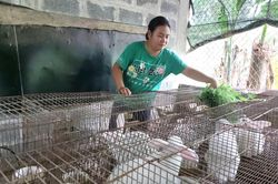 Để nông thôn mới khởi sắc