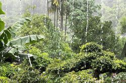 Chủ động ứng phó với đợt mưa lớn diện rộng trên địa bàn tỉnh