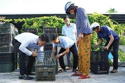Hỗ trợ sinh kế cho người dân thiệt hại do thiên tai