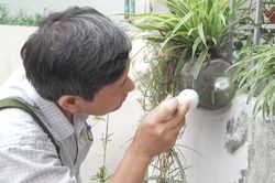 Tăng cường ph&ograve;ng chống sốt xuất huyết