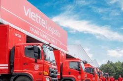 Viettel Post (VTP) miễn nhiệm Phó Tổng Giám đốc Đinh Thanh Sơn, giao trọng trách tại thị trường ngoại