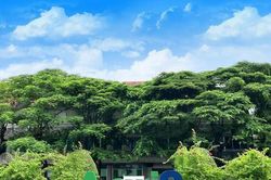 AgriS (SBT) vừa hút về hơn 997,1 tỷ đồng qua kênh trái phiếu