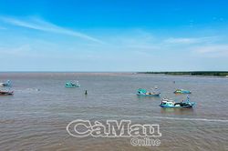 Tổ đội đoàn kết điểm tựa giữa biển khơi