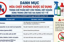 Xử lý nghiêm vi phạm về hóa chất, chế phẩm diệt côn trùng, diệt khuẩn