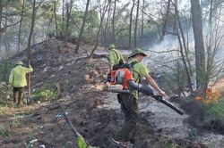 Tp. Huế: Lực lượng Kiểm lâm kịp thời khống chế vụ cháy tại xã Phú Vinh