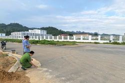 Bị đàn dê ăn mất lá chuối, người đàn ông bắt trộm dê về làm thịt