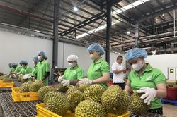 Đẩy mạnh triển khai hệ thống truy xuất nguồn gốc n&ocirc;ng sản