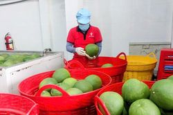 H&agrave;ng Việt 'mở cửa' thị trường ngh&igrave;n tỷ USD