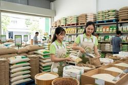 Giá lúa gạo hôm nay 16.6: Lúa thơm giữ giá, gạo xuất khẩu phân hóa