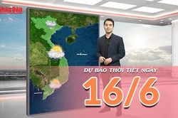[Video] Dự báo thời tiết ngày 16/6/2026: Mưa lớn tại trung du và miền núi Bắc Bộ, Trung Bộ nắng giảm cường độ