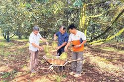 Phát triển thuốc bảo vệ thực vật sinh học