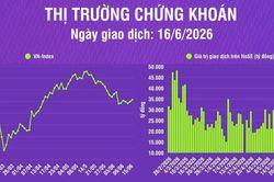 [Infographic] Thị trường ng&agrave;y 16/6: VN-Index tăng 8,63 điểm, thanh khoản thị trường giảm
