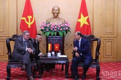 Th&uacute;c đẩy c&aacute;c định hướng hợp t&aacute;c thực chất Việt Nam-Đức
