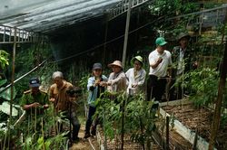 Bảo chứng chất lượng sâm gốc Ngọc Linh từ DNA