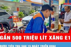 Gần 500 triệu lít xăng E10 được tiêu thụ sau 15 ngày triển khai
