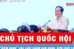 Chủ tịch Quốc hội 'điểm danh' c&aacute;c luật chậm ban h&agrave;nh, k&eacute;m chất lượng