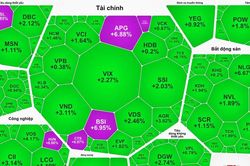 Sắc xanh bao phủ, VN-Index vượt 1.800 điểm