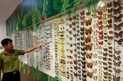 'Lớp học xanh' đặc biệt trong rừng già Cúc Phương