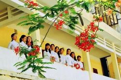 Tản mạn: Mùa phượng vĩ đã xa