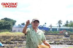 Cha gửi tuổi trẻ xuống ruộng, con mang tri thức bước ra đời