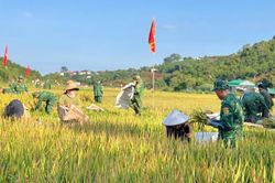 Bộ đội Biên phòng đẩy mạnh và duy trì các hoạt động an sinh xã hội ở khu vực biên giới