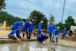 Dấu ấn thanh niên Nghệ An trong phát triển kinh tế, xã hội của tỉnh
