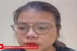 Khởi tố người phụ nữ quét mã QR giả để lừa đổi tiền tại bệnh viện