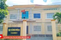 Thêm 3 bị can bị khởi tố trong vụ cổ phần hóa Công ty Cà phê Gia Lai