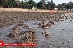 Hải Phòng: Một người tử vong do sét đánh tại bãi tắm Đồ Sơn