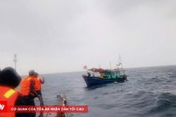 T&agrave;u 201 kịp thời cứu t&agrave;u c&aacute; ngư d&acirc;n gặp sự cố tr&ecirc;n biển