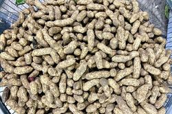 Luộc lạc bao nhiêu phút để mềm bùi, không bị thâm vỏ?