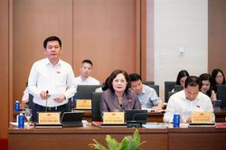 Hạn chế &aacute;p dụng quy tr&igrave;nh r&uacute;t gọn trong x&acirc;y dựng ph&aacute;p luật để tr&aacute;nh những hệ lụy