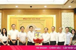 Bí thư Tỉnh ủy tiếp đoàn doanh nghiệp, đối tác Nhật Bản khảo sát cơ hội hợp tác tại Hà Tĩnh