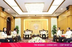 Lãnh đạo Hà Tĩnh làm việc với Công ty Mirabo Global và đối tác Nhật Bản