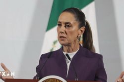 Mexico kỳ vọng Mỹ giảm thuế trong đàm phán về hiệp định thương mại