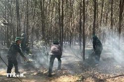 Quảng Trị liên tiếp xảy ra các vụ cháy rừng tại xã Hiếu Giang