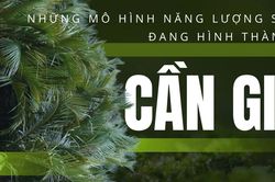 Những mô hình năng lượng sạch đang hình thành ở Cần Giờ