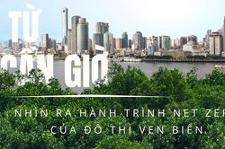 Từ Cần Giờ nhìn ra hành trình Net Zero của đô thị ven biển