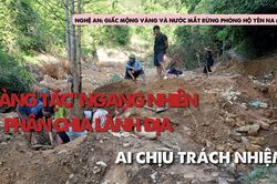 'V&agrave;ng tặc' ngang nhi&ecirc;n ph&acirc;n chia l&atilde;nh địa: Ai chịu tr&aacute;ch nhiệm?