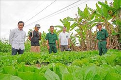 Viết tiếp 'khúc quân hành' kiến tạo những làng quê đáng sống