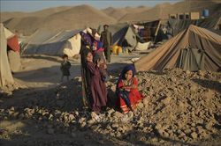 UNICEF: Tr&ecirc;n 1 tỷ trẻ em đối mặt t&aacute;c động của &iacute;t nhất ba h&igrave;nh th&aacute;i kh&iacute; hậu cực đoan