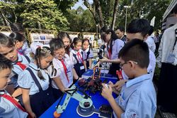 TP Hồ Ch&iacute; Minh c&ocirc;ng bố kết quả tuyển sinh đầu cấp diện trường, lớp đặc th&ugrave;