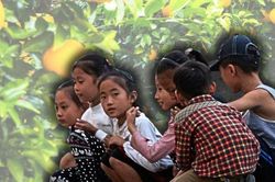 Ngoại giao 'Vitamin C' của Jeju hồi sinh m&ocirc; h&igrave;nh hợp t&aacute;c li&ecirc;n Triều từng bị l&atilde;ng qu&ecirc;n