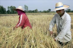 Thái Lan tăng cường ứng phó nguy cơ El Ninõ kéo dài