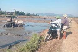 X&atilde; Thần Lĩnh: Tăng cường chỉ đạo, quyết t&acirc;m ho&agrave;n th&agrave;nh kế hoạch vụ H&egrave; Thu
