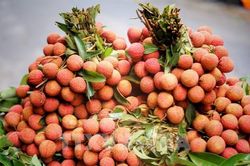 M&acirc;m c&uacute;ng Tết Đoan Ngọ gồm những g&igrave;? Gợi &yacute; lễ vật chuẩn truyền thống cho ng&agrave;y m&ugrave;ng 5/5 &Acirc;m lịch