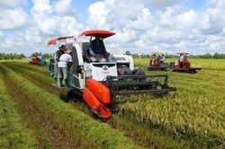 Cần Thơ tập trung v&agrave;o ba khu vực kinh tế chủ lực