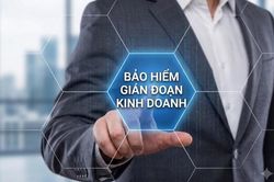 Bảo hiểm gián đoạn kinh doanh là gì? Những quyền lợi cần biết