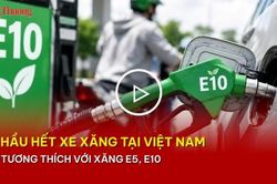 Hầu hết xe xăng tại Việt Nam tương thích với xăng E5, E10