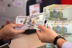 Chuyên gia: Nhà điều hành trước lựa chọn giữ tỷ giá hay hạ lãi suất